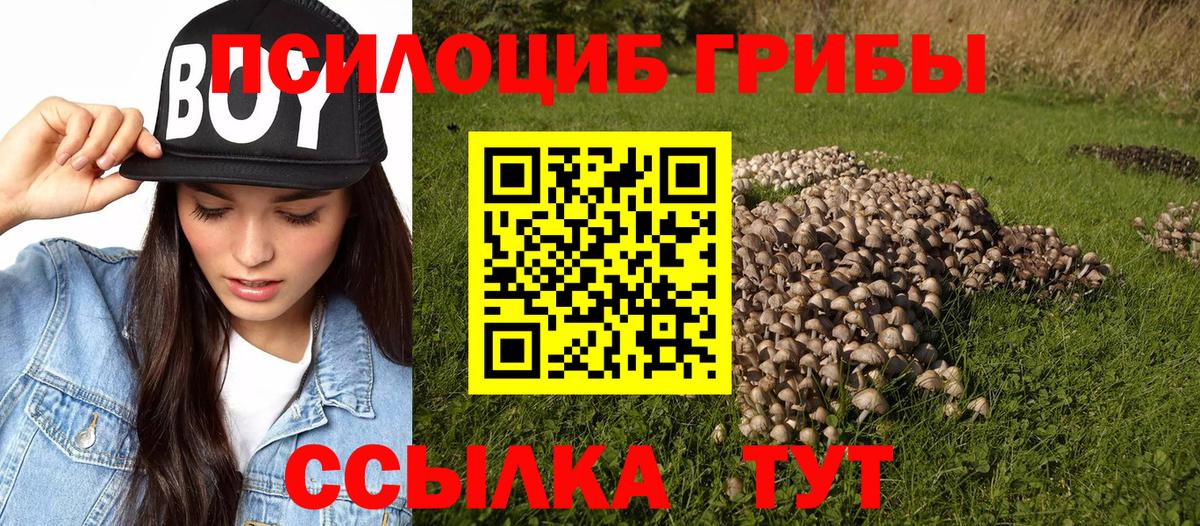 Псилоцибиновые грибы GOLDEN TEACHER Ярославль