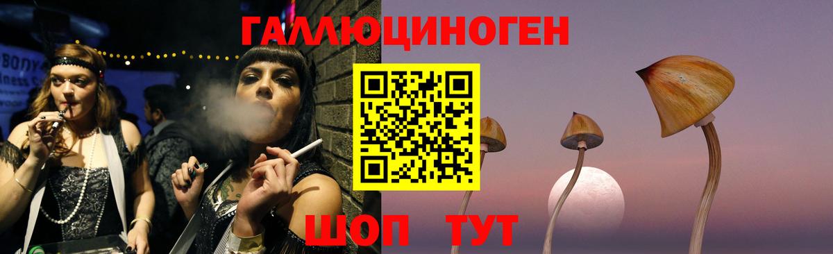 Галлюциногенные грибы Psilocybe  Вход с VPN  Псилоцибиновые грибы Psilocybine cubensis  купить закладку  Ярославль 